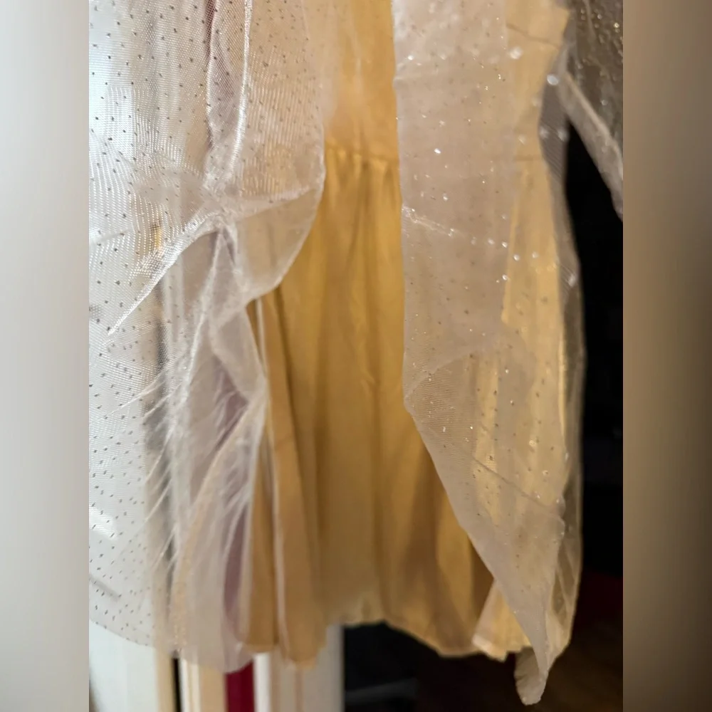 Elegant Cream Sheer Sleeve Dress with Sparkles, Open Back! New!! - Picture 5 of 14